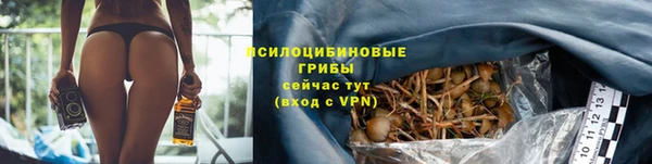 ГАЛЛЮЦИНОГЕННЫЕ ГРИБЫ Нефтекумск