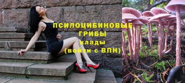СК Алексеевка