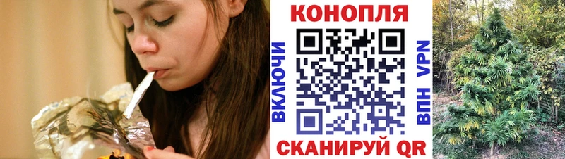 mega сайт  Стародуб  Шишки марихуана сатива  закладка 